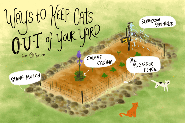 Comment empêcher les chats d’entrer dans votre jardin ?
