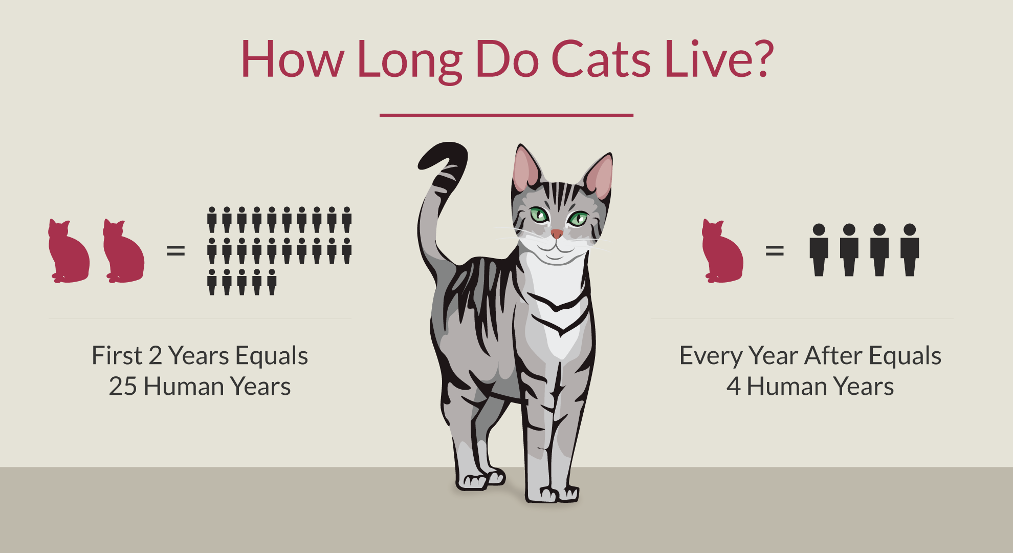 Combien de temps vivent les chats ?